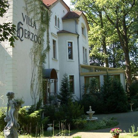 Hotel Villa Herzog Dresden Ngoại thất bức ảnh
