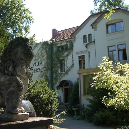 Hotel Villa Herzog Dresden Ngoại thất bức ảnh