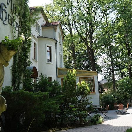 Hotel Villa Herzog Dresden Ngoại thất bức ảnh