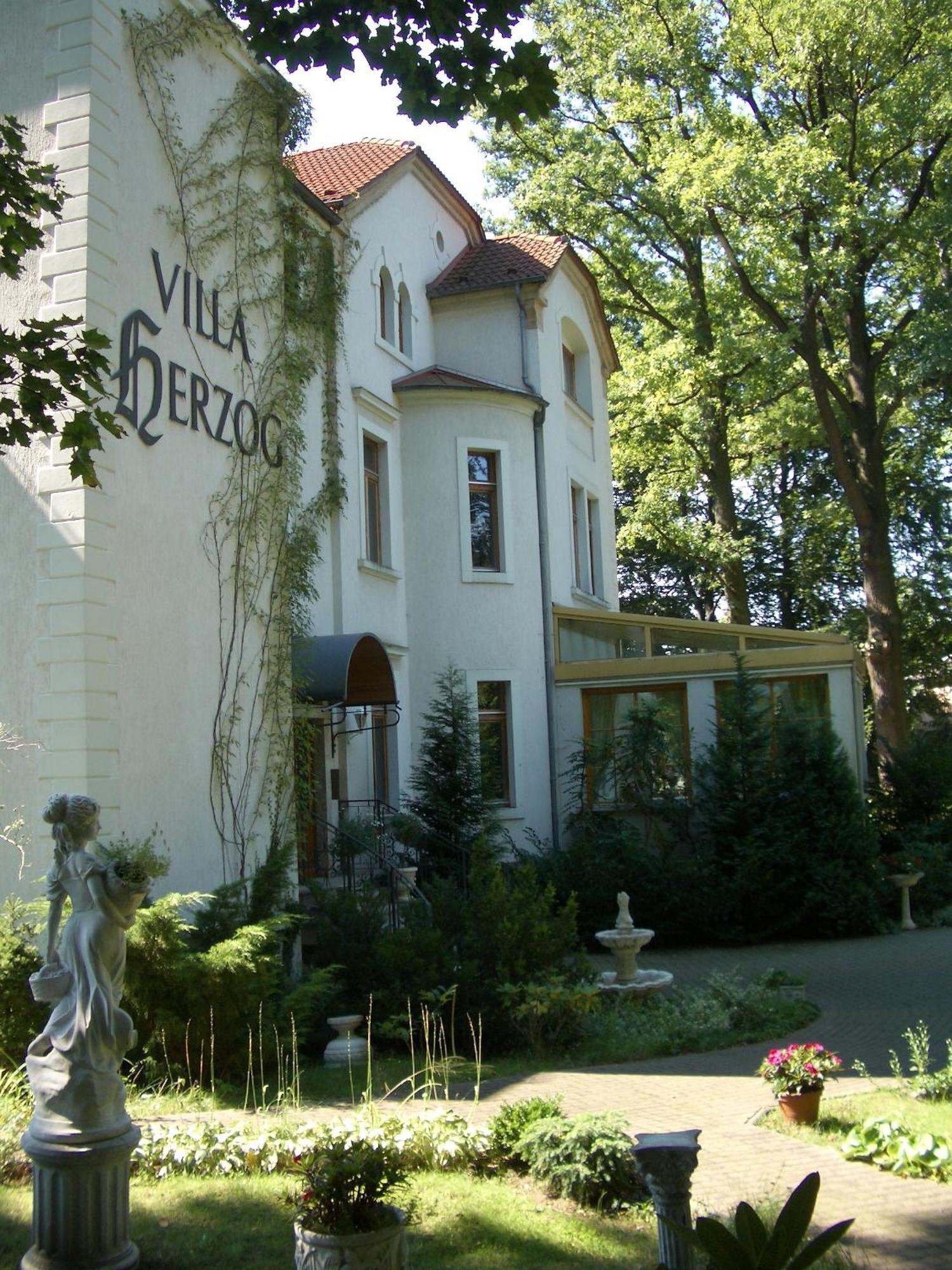 Hotel Villa Herzog Dresden Ngoại thất bức ảnh