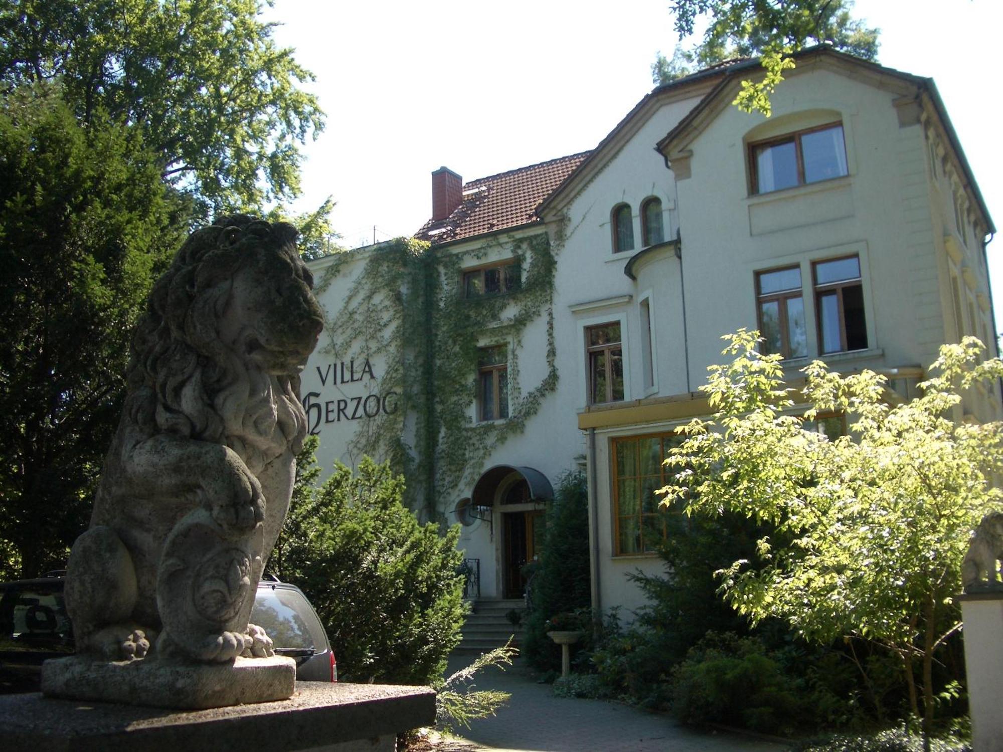 Hotel Villa Herzog Dresden Ngoại thất bức ảnh