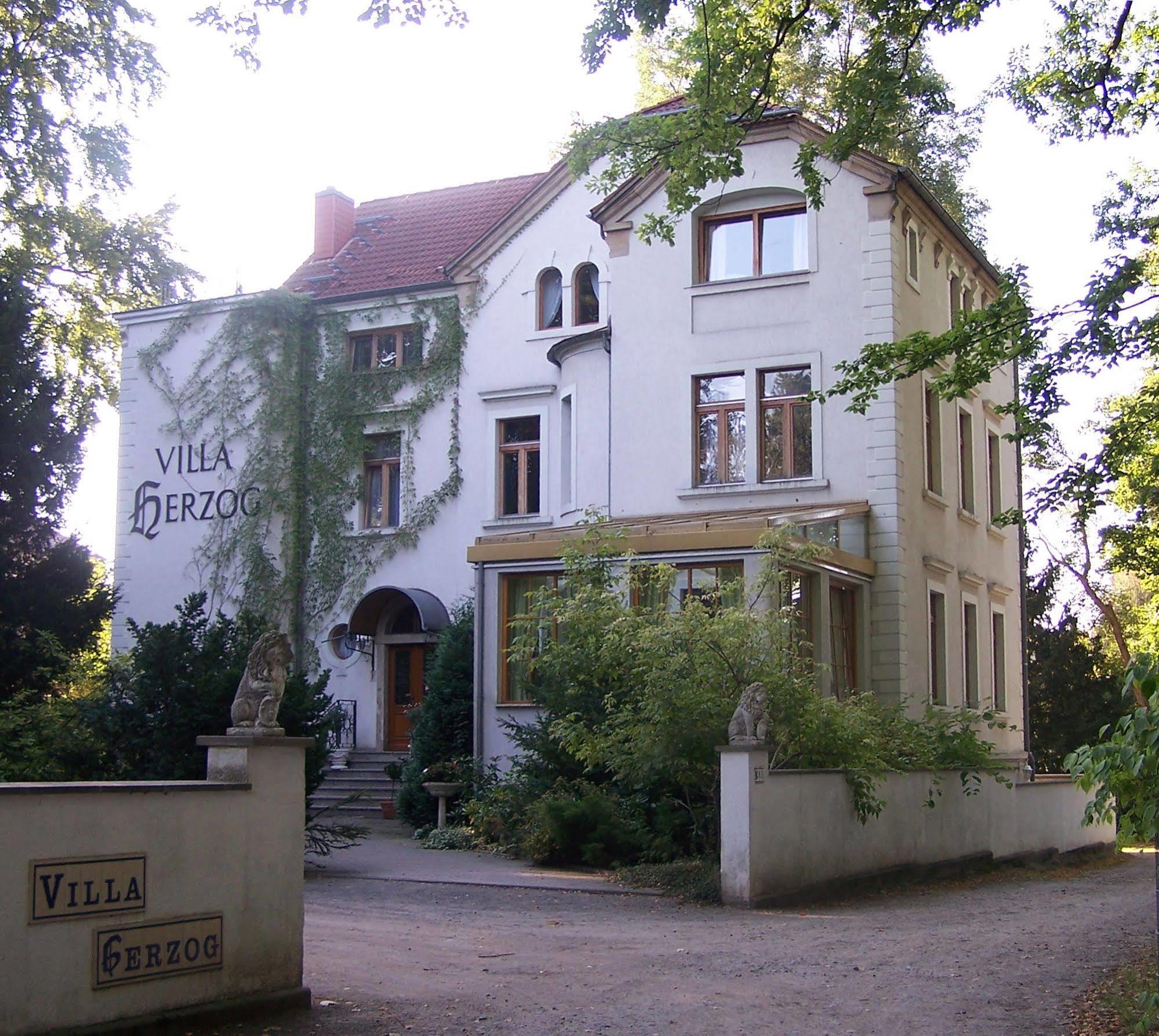 Hotel Villa Herzog Dresden Ngoại thất bức ảnh